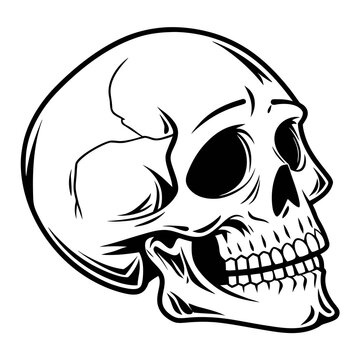 A single human skull in side view, black and white line art vector illustration, isolated on white background, for tattoo design or Halloween decoration