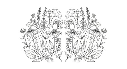 Fototapeta premium A line drawing of various flowers and plants.