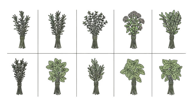 A variety of tree types and shapes.