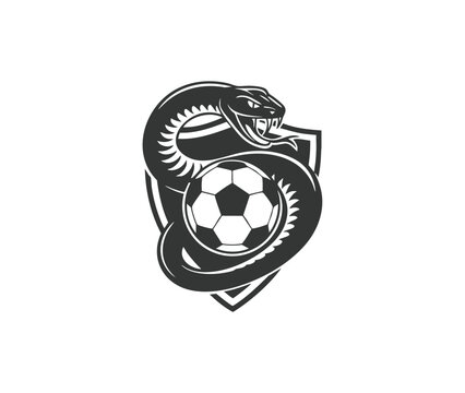 Angry snake mascot soccer emblem, black mamba football club logo shield