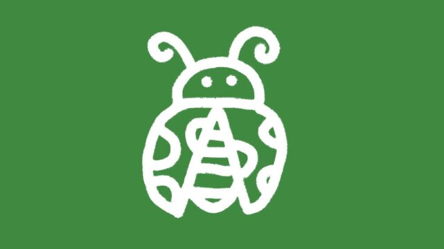 White ladybug insect cartoon graphic with chalk outline cute bug icon isolated on green screen background for pest control symbol and agriculture element concept.