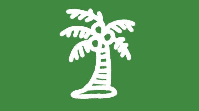 White tropical coconut palm tree cartoon graphic with chalk outline island palm icon isolated on green screen background for summer vacation resort symbol and tourism line art element concept.