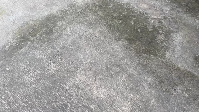 Old Mossy Concrete Surface Texture Video