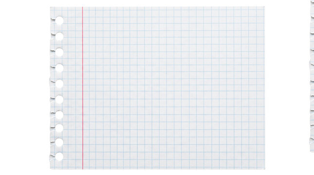 Sheet of grid paper isolated on transparent background