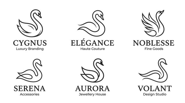 Black swan logo design elements.