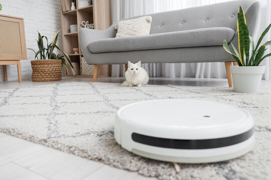 Robot vacuum cleaner on carpet against cat under sofa at home, closeup