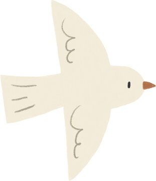 Cream bird 크림색 새들
