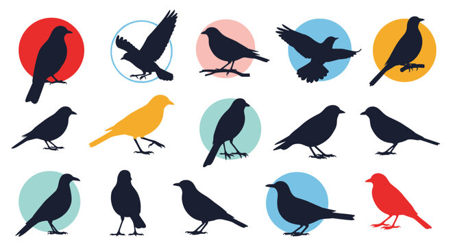 Large set of various bird silhouettes in different flight and perching poses against colorful circle backgrounds for nature design projects.