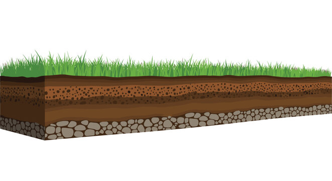 Detailed cross section of a patch of earth showing layers of soil, gravel, and small rocks underneath a healthy green field of growing grass.