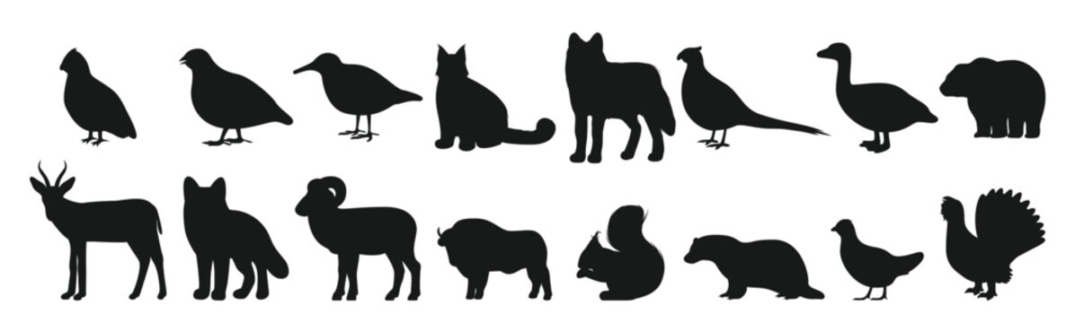  bear duck buffalo wolf panther fox silhouette