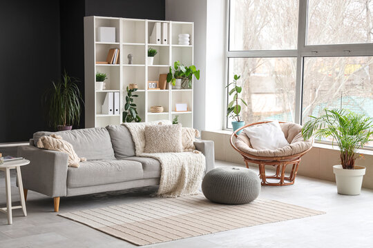 Interior of stylish living room with sofa, shelf unit and plants