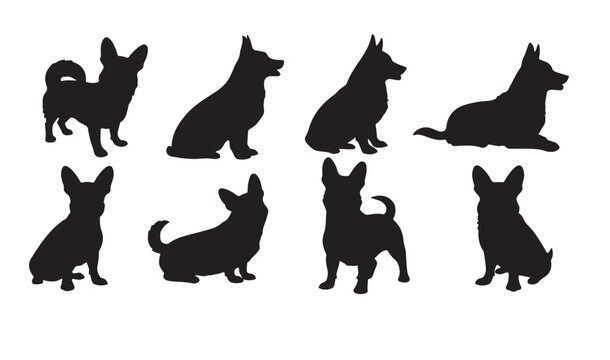 Set of silhouettes of various breeds of dogs