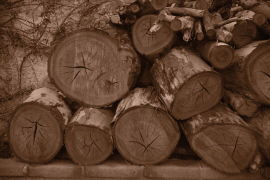 Troncos de le&ntilde;a cortada y apilada contra una pared en tonos sepia.
