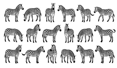 Adorable Llama Cartoon Coloring Book Character Collection Vector Illustration © MdRiazul