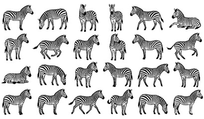Cute Llama Cartoon Coloring Page Vector Set with Adorable Animal Characters © MdRiazul