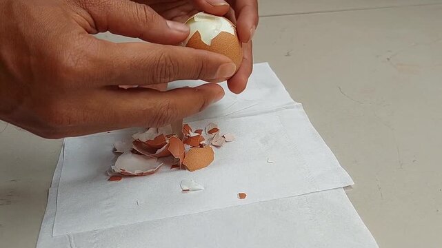 Hands peeling a boiled chicken egg shell, highlighting a healthy high protein food choice for balanced nutrition