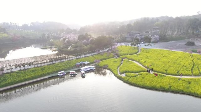 Aerial View of Lakeside Park with Yellow Blossoms and Pedal Boats in Spring