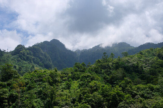Rugged mountainous landscape covered in dense rainforest on tropical island of Bougainville, Papua New Guinea