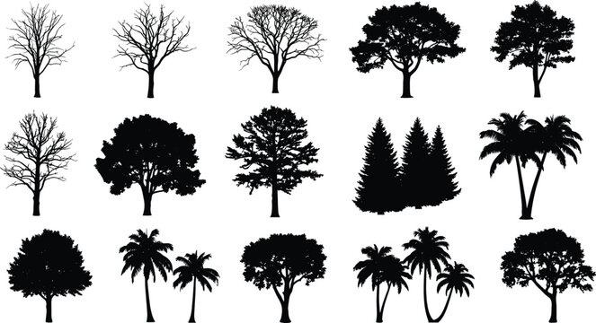 Collection of Tree Silhouettes Set Isolated on Gray Background Including Deciduous Evergreen Palm and Forest Trees