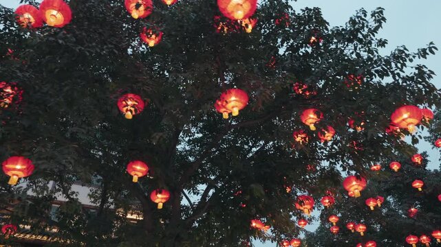 Glowing Red Lanterns Hanging in Tree at Dusk