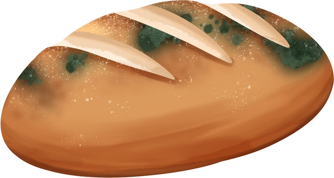 Moldy Bread Loaf Illustration - Spoiled Food Concept
