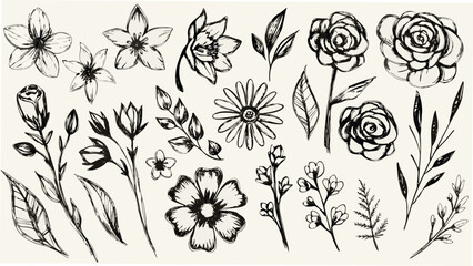 Sketchy floral arrangement a collection of hand drawn flowers and leaves © Nipa