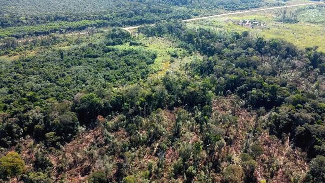 APUI, AMAZONAS, BRAZIL - Aerial drone shot of a recent slash and burn area inside the Amazon rainforest with fallen trees and logging near the Transamazonian highway (BR 230 Transamazonica)