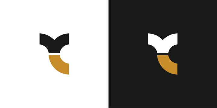Unique and modern letter YC initials logo design