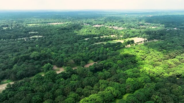 Aerial view of vast and dense green mango orchards stretching across the flat landscape under a hazy sky in Chapai Nawabganj, Rajshahi Division, Bangladesh.