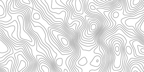 Fototapeta premium Minimalist abstract background with flowing topographic contour lines, soft gray and black tones white background, smooth organic curves, modern and clean aesthetic, subtle depth and texture.