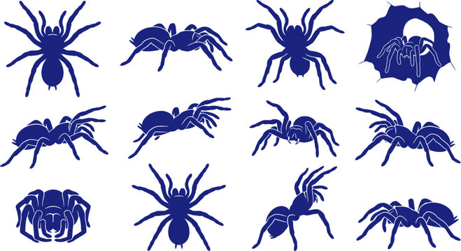 vector can editable Dynamic arachnid silhouettes showcasing the stealthy movement of large burrowing spiders