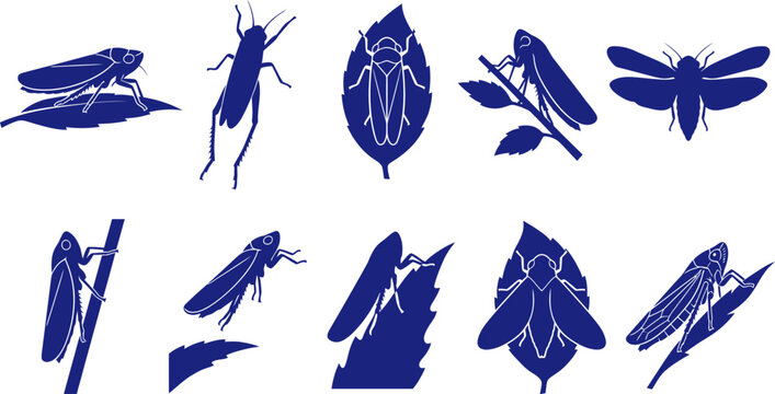 vector can editable Garden hemiptera silhouettes featuring leafhoppers and planthopper forms