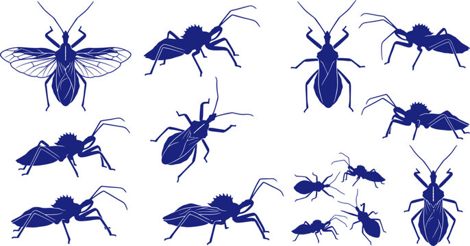 vector can editable Formidable wheel bug silhouettes featuring the cog-like crest of reduviidae predators