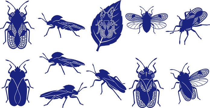 vector can editable Hemiptera diversity silhouettes showcasing pentatomidae and shield bug forms