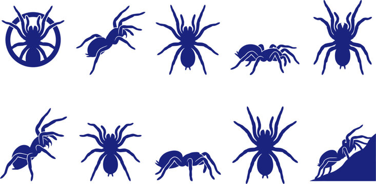 vector can editable Intricate tarantula silhouettes exploring the form and texture of arachnid anatomy