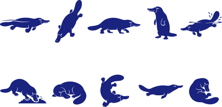 vector can editable Unique platypus silhouettes illustrating the extraordinary monotreme anatomy of the australian wilderness