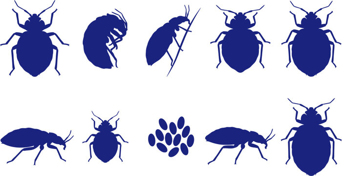 vector can editable Urban pests a comprehensive bed bug and egg silhouette collection