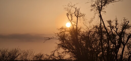 Fototapeta premium Scenic Mountain Landscape During Sunset with Sun Shining Behind Tree Branches Creating Silhouette Effect