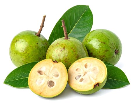 Close-up of several green, round fruit with textured skin, a cut fruit showing the interior, and green leaves against a white background