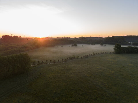 Diepenbeek, Belgium. Aerial drone view of misty rural landscape with sunrise and wind turbines in background