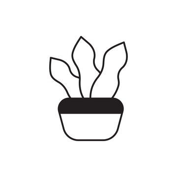 Indoor Plant Icon