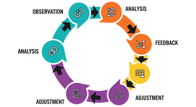 A circular diagram illustrating the iterative process of observation analysis and feedback