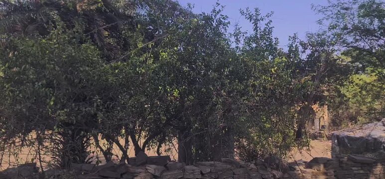 Ancient Medieval Stone Wall and Heritage Chhatri Pavilion Ruins Along a Rural Highway Road