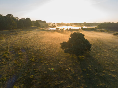 Diepenbeek, Belgium. Aerial drone view of misty nature landscape with sunrise over wetland and trees