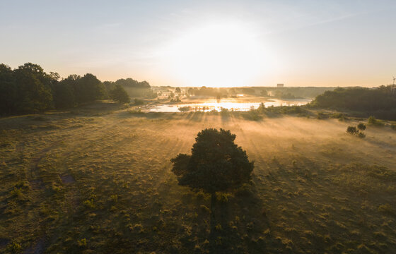 Diepenbeek, Belgium. Aerial drone sunrise over misty wetland landscape with lone tree and sun rays