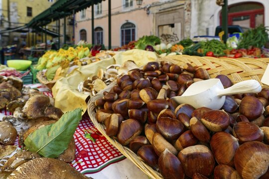 Vegetable stall with chestnuts, chestnuts, mushrooms, Via Domenico Cavalca, Old Town, Pisa, Tuscany, Italy
