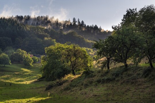 Landscape in the Odenwald with trees, meadows, forest and hills. Sunshine after rain. In the evening. Hinterheubach, Heiligkreuzsteinach, Odenwald, Baden-W&uuml;rttemberg, Germany