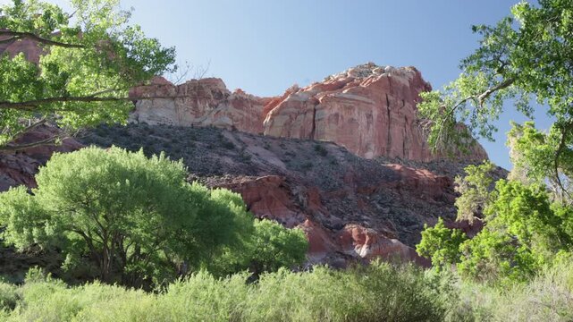 Cottonwoods and cliffs on Utah SR 95, the &ldquo;Bicentennial Highway&rdquo; and &ldquo;Trail of the Ancients National Scenic Byway&rdquo;