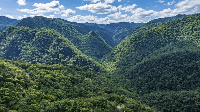 Aerial of the Unesco site Atlantic Forest South-East Reserves, Alto Ribeira Touristic State Park, Sao Paulo state, Brazil