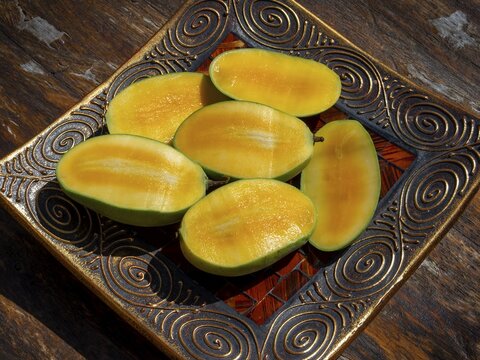 Mangos (Mangifera indica) in decorative fruit bowl, yellow flesh, wild mango, variety Emeraude